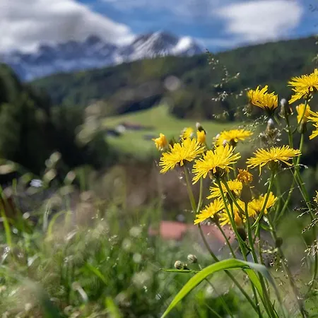 Willmuellerhof * Percha